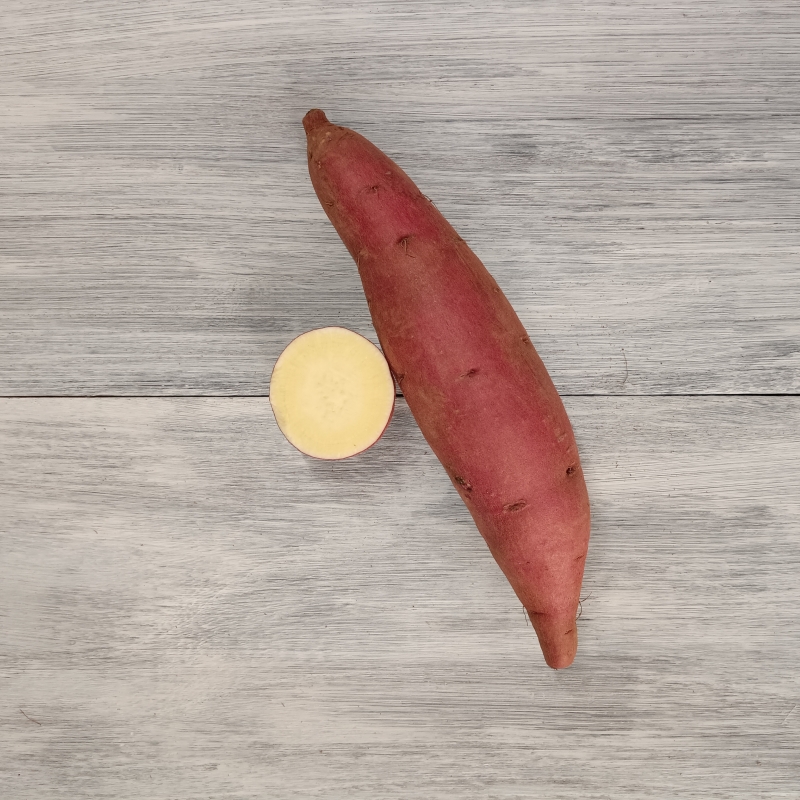 ひめあやか（断面と外観）