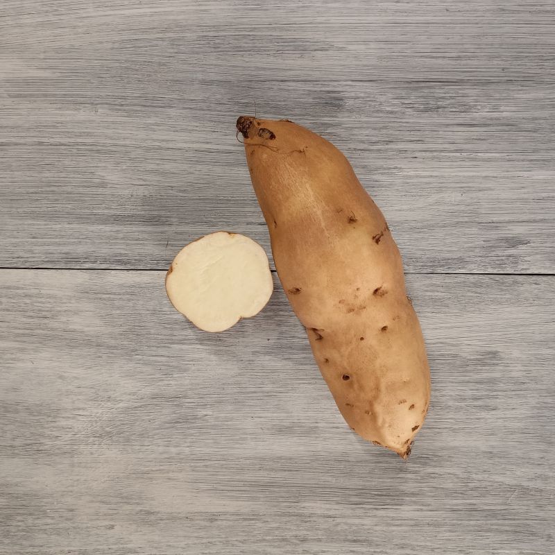 コガネセンガン（断面と外観）