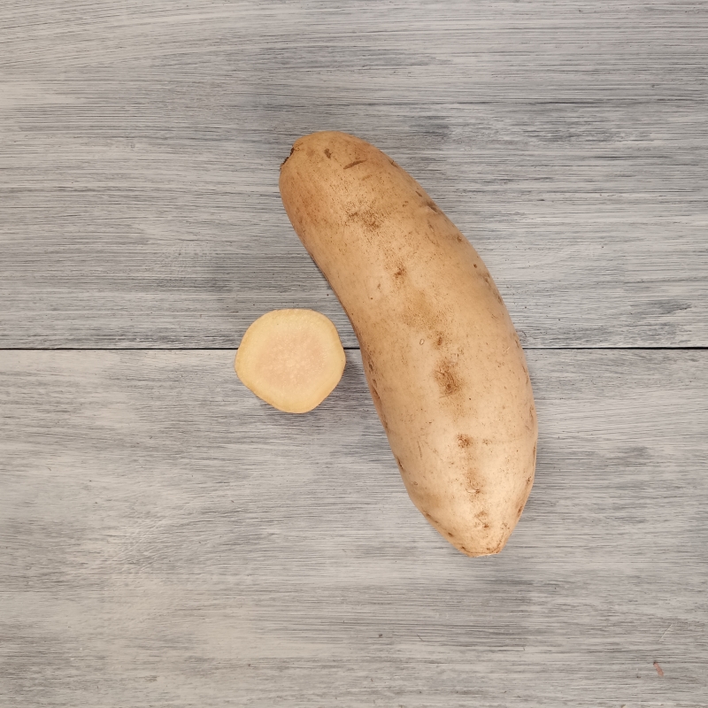 くりこがね（断面と外観）