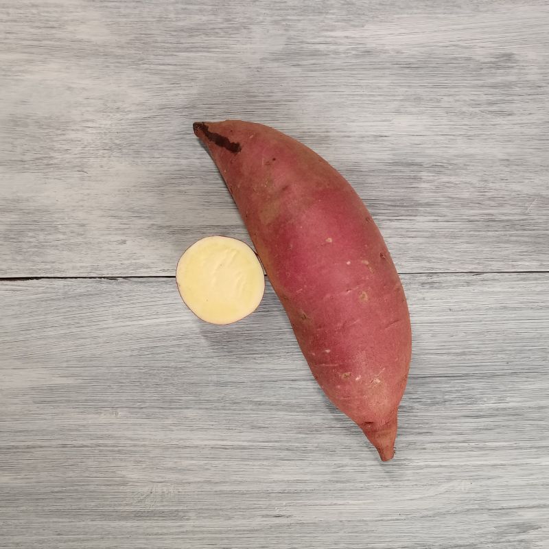 みやあかり（断面と外観）